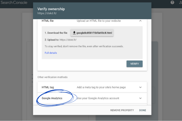 Search console vaizdas