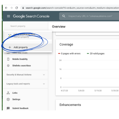 Search Console pridedame papildoma domena