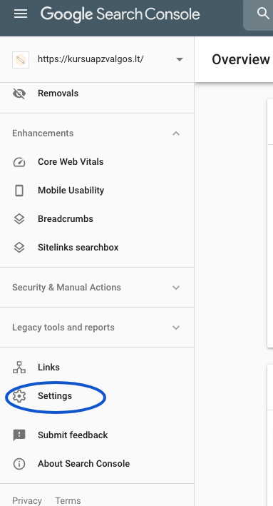search console sujungimas