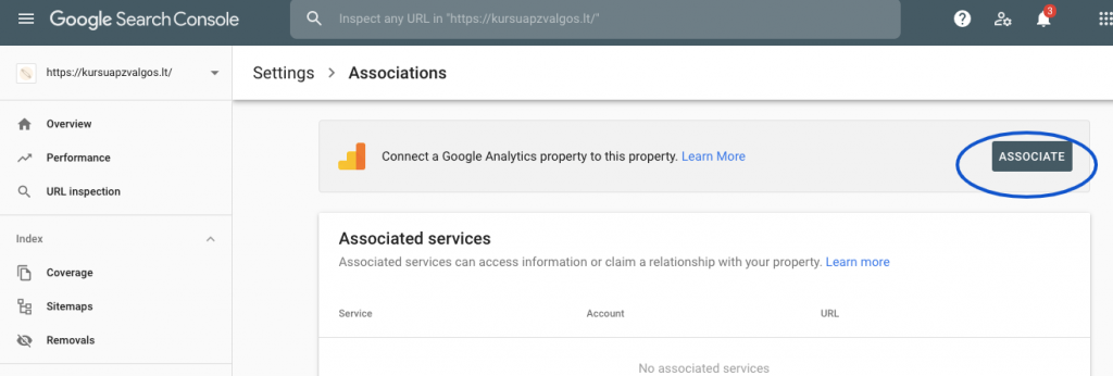 search console sujungimas